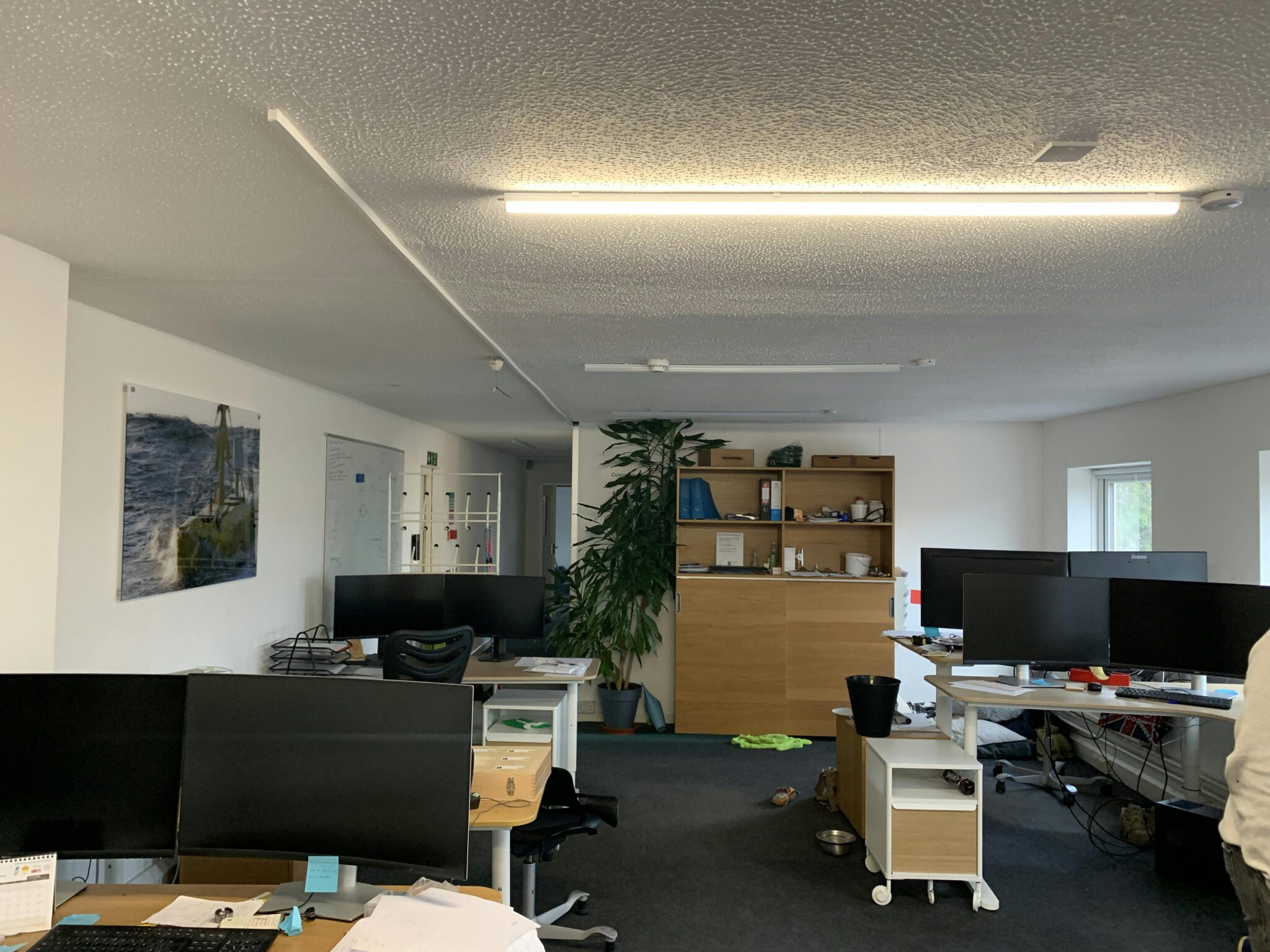 0affd7fe2ff1ce19013d5f16d8534e06-img-2161