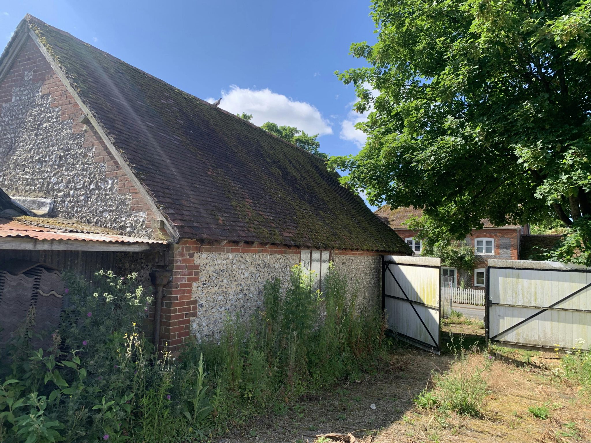 58ca47f52fb3bc99bd72fa9a1b062544-photo-04072024-10-02-32