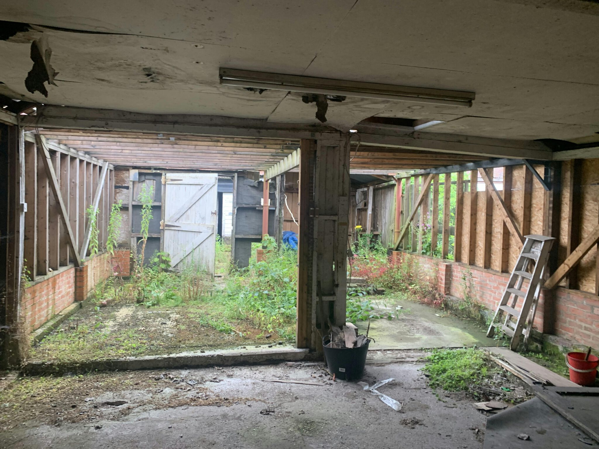 6bbfe34a4195c532979c1848ffcf37df-photo-16072024-11-22-02