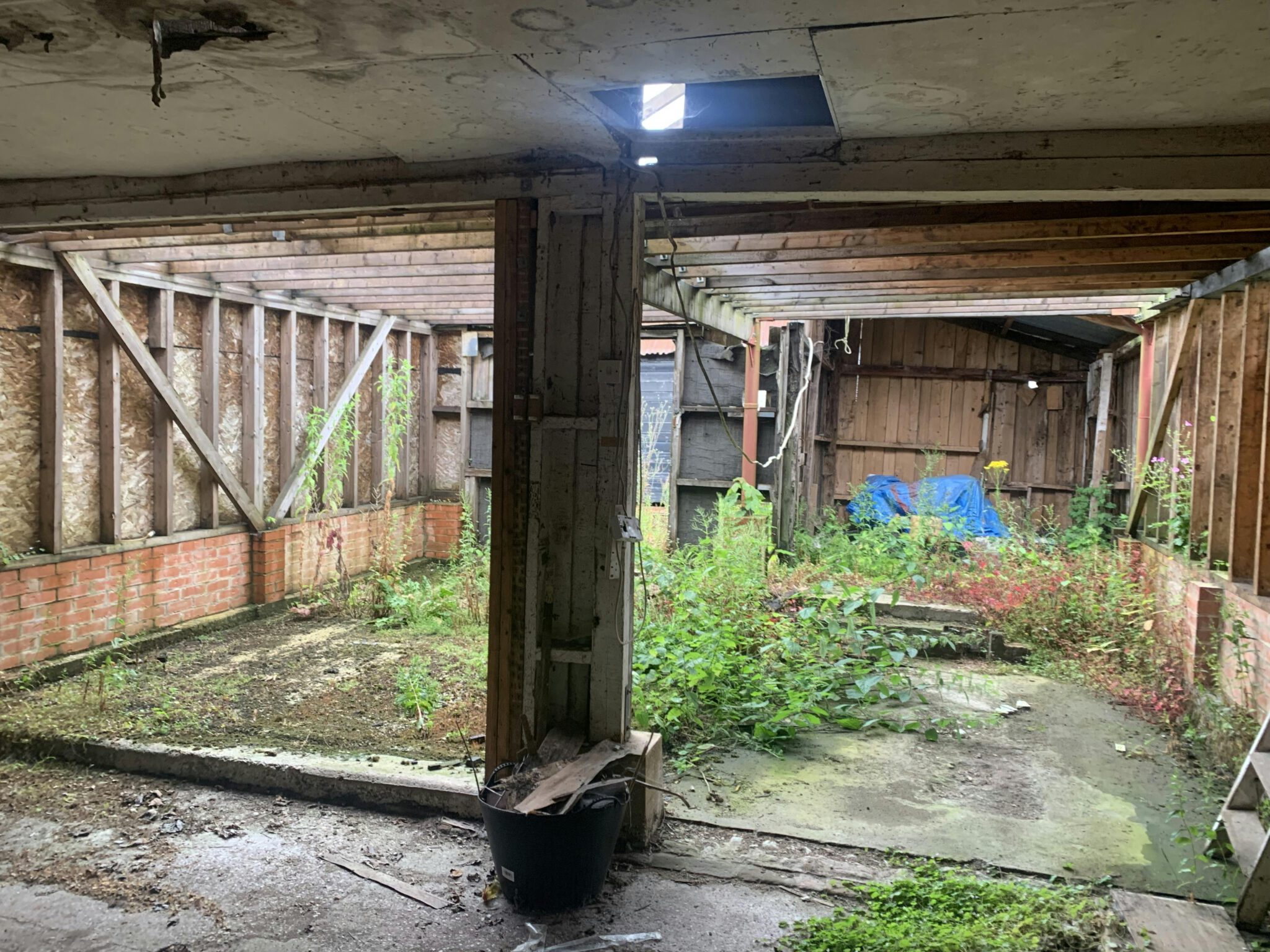 b989665dd19379705721a15a17de00b6-photo-16072024-11-22-08