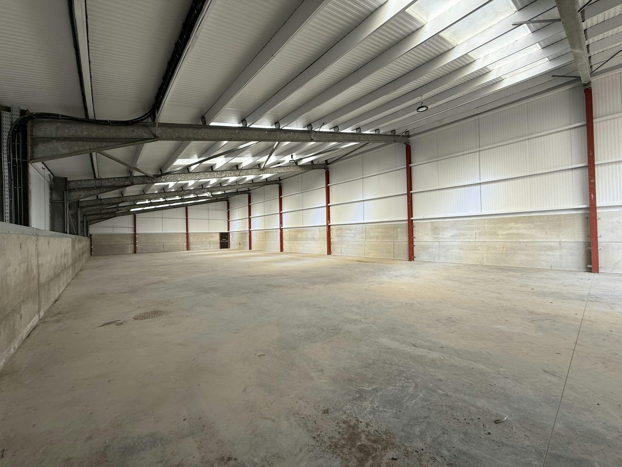 484f6335748ceb896eac81886aff0506-img-1185