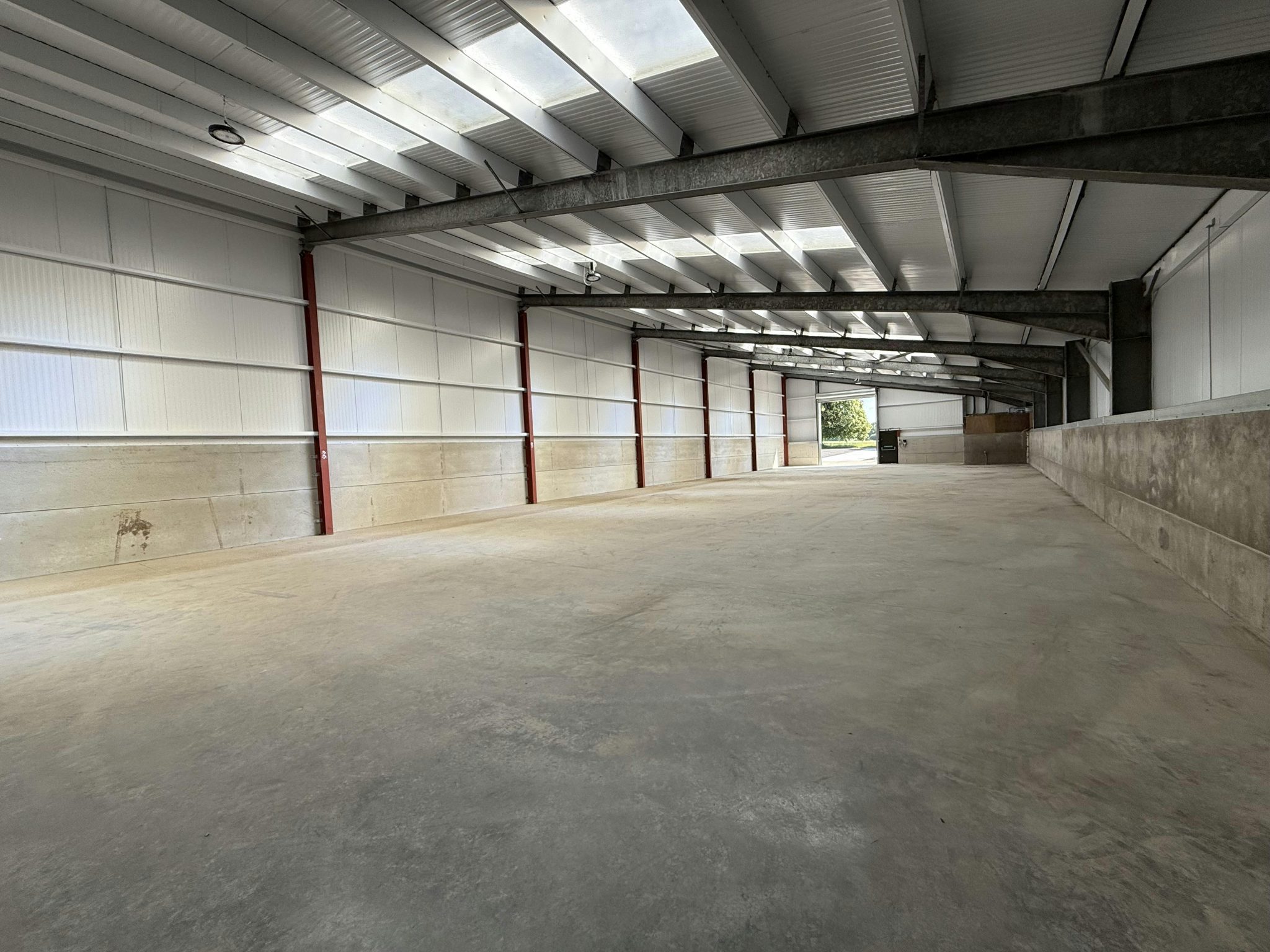 5036786e871c491cb73e254c994db937-img-1186