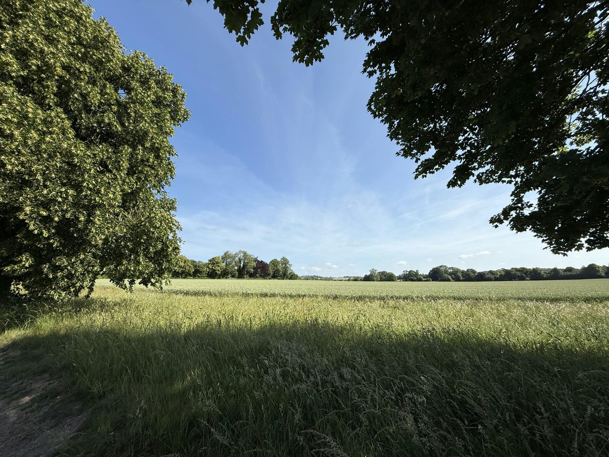 91ab38ad552a56cd19500966543f2dbd-img-1189